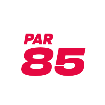 PAR 85 Disc Golf Anlage Breuna